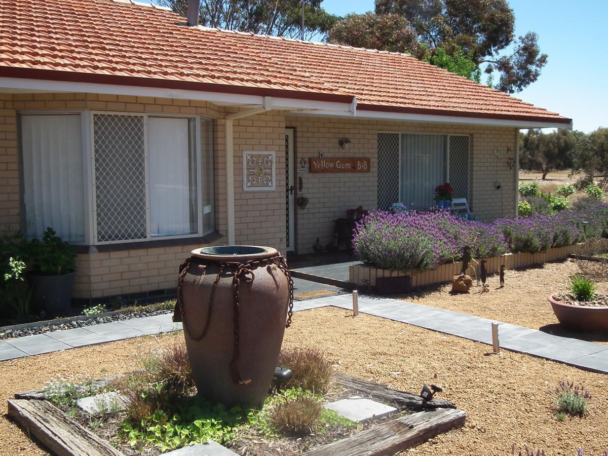Yellow Gum Bed And Breakfast Katanning Екстериор снимка